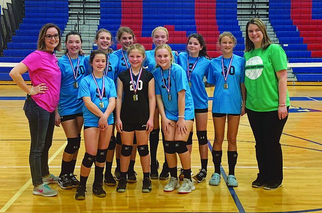 VBall silver WEB.jpg