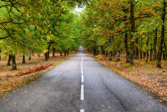 Country Road